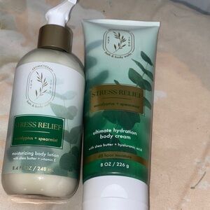 Bath & Body Works Eucalyptus Spearmint Moisturizer Duo - Green and White